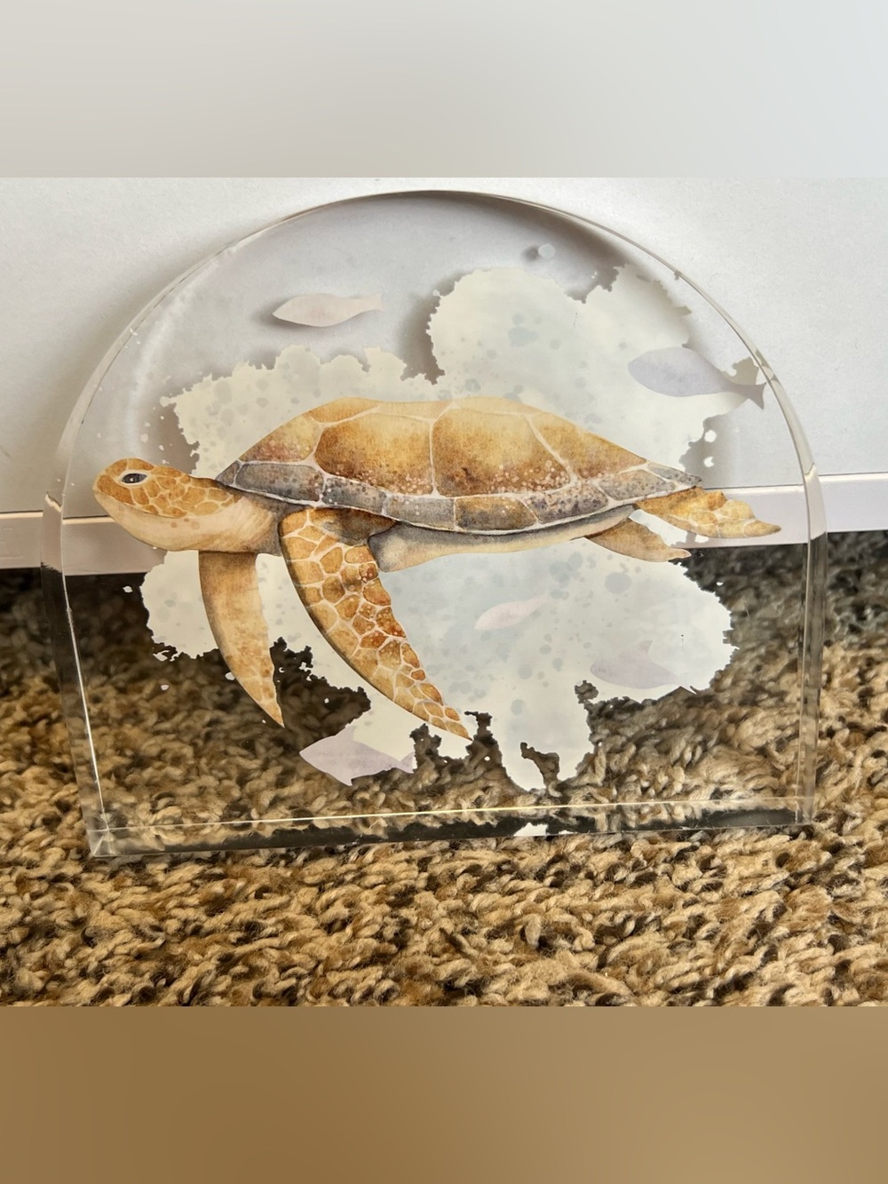 Decorative Turtle on Resin